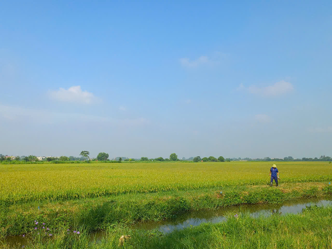 Đông Lỗ - Ứng Hòa: Vùng Quê Giàu Truyền Thống, Hướng Tới Đô Thị Hóa