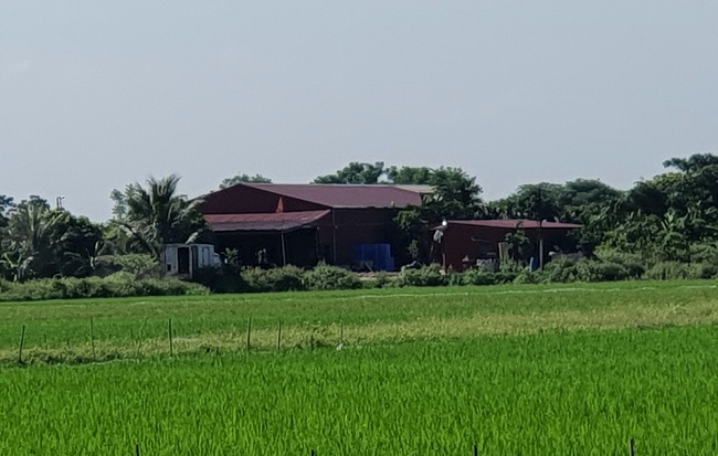 Hồng Minh - Phú Xuyên: Vùng Quê Giàu Truyền Thống Cách Mạng, Đổi Mới Từng Ngày