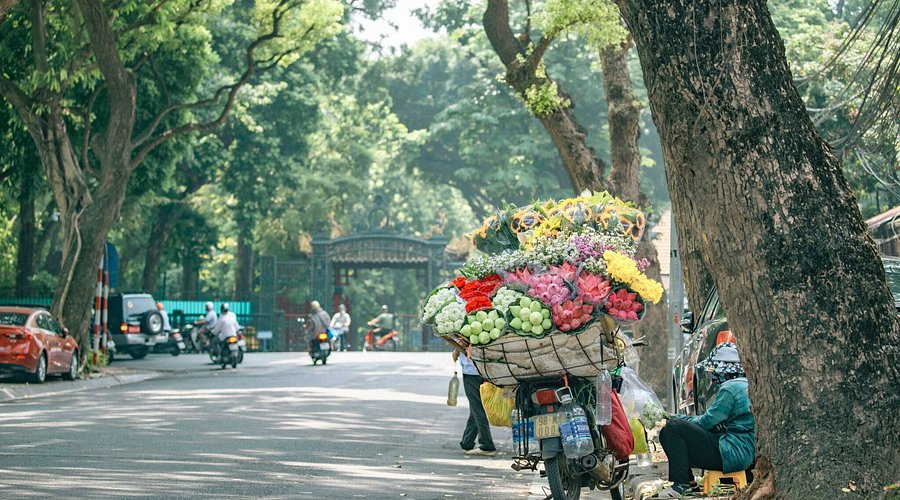 Phan Chu Trinh - Hoàn Kiếm: Phường Trung Tâm, Giao Thoa Hiện Đại Và Truyền Thống