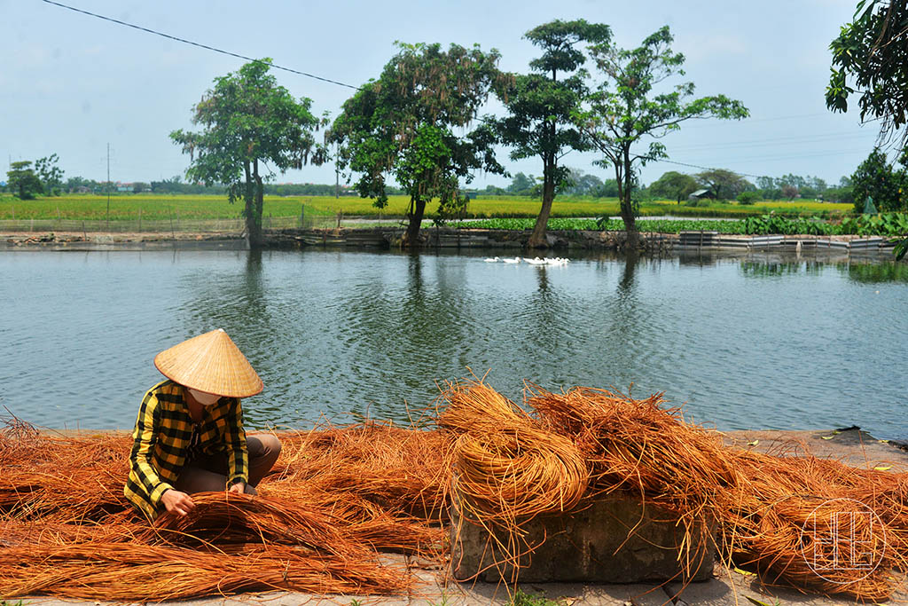 Phú Túc - Phú Xuyên: Vùng Quê Giàu Truyền Thống, Nổi Tiếng Làng Nghề Cỏ Tế