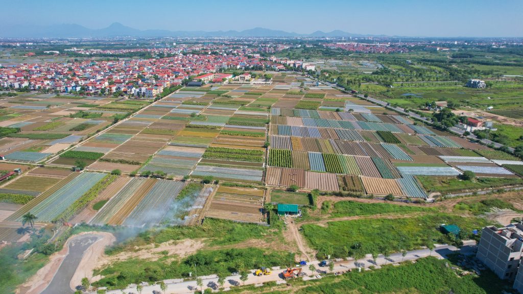 Văn Khê - Mê Linh: Vùng Đất Ven Sông, Giàu Tiềm Năng Nông Nghiệp